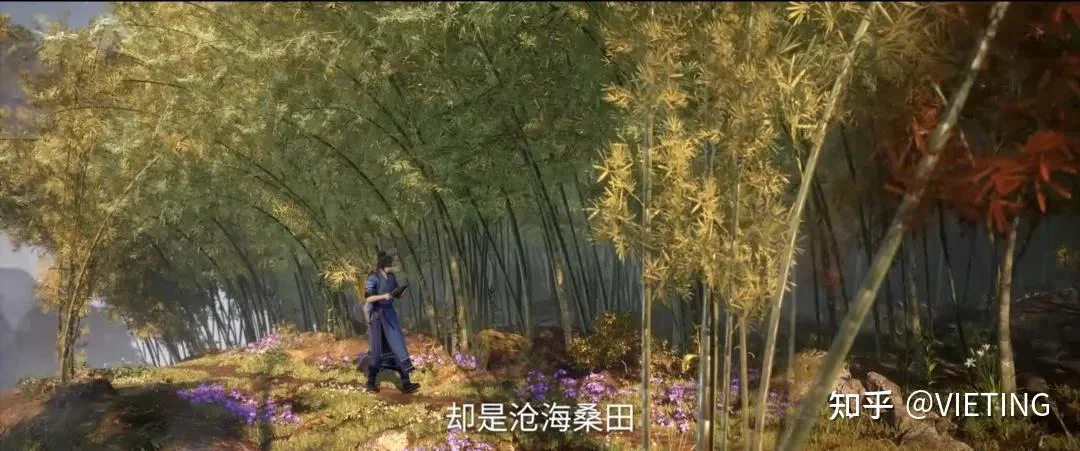 Triệu quốc trong Tiên Nghịch